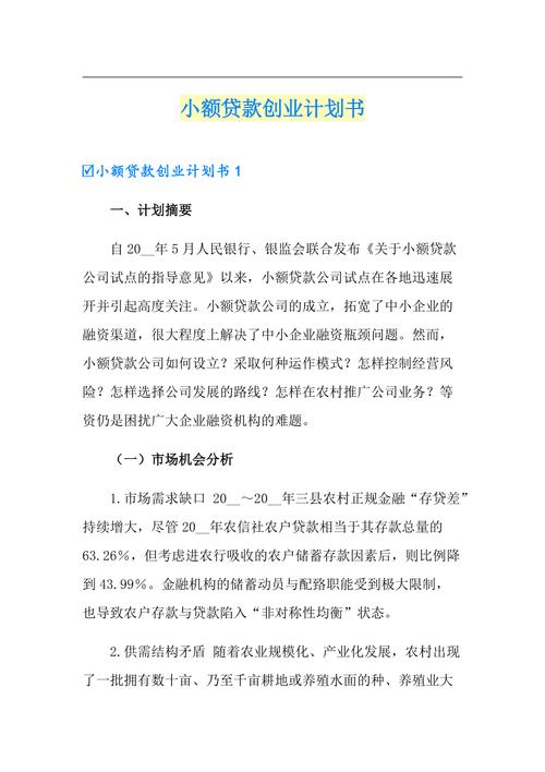 小额贷款对个人创业者的支持和鼓励作用分析(小额贷款对个人的影响)